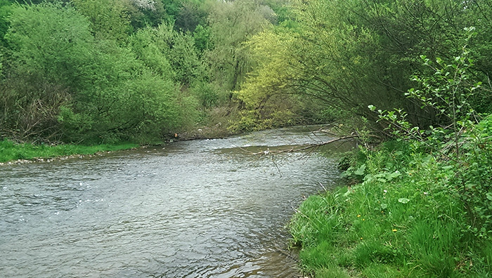 Река в Поляне